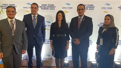 «المشاط » تبحث دعم التعاون مع الصندوق السعودي للتنمية و برنامج الخليج العربي