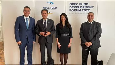 «المشاط» تعرض حزمة من مشروعات التحول الأخضر أمام مؤسسات التمويل الدولية