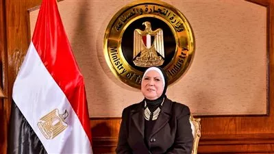 «تنمية الصادرات»: إصدار 465 شهادة لـ455 شركة بـ957.4 مليون جنيه