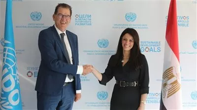 المشاط: حريصون على توسيع آفاق التعاون مع منظمة الأمم المتحدة للتنمية الصناعية
