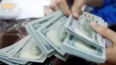 سعر الدولار اليوم السبت 1 يناير 2022