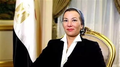 «البيئة» في عام: التفتيش على 7000 مصنع.. وفحص عوادم 14 ألف سيارة