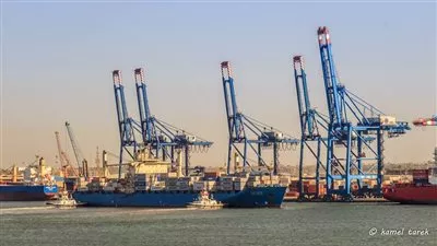 تداول 31 سفينة بميناء دمياط اليوم الأربعاء