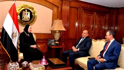 «جامع» تبحث مع «وفا بنك» تعزيز التواجد المصري في الأسواق الإفريقية