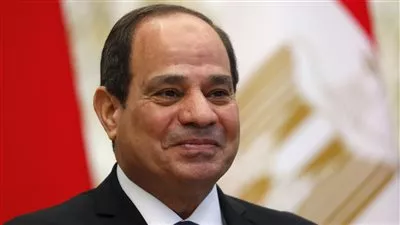 الرئيس السيسي يستقبل وزير الخارجية والتعاون الدولي الإماراتي