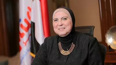 تعاون 40 جهة في إعداد لائحة قانون تنمية المشروعات الصغيرة