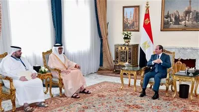 السيسي يبحث مع وزير الخارجية الإماراتي توطيد العلاقات الاستراتيجية المشتركة