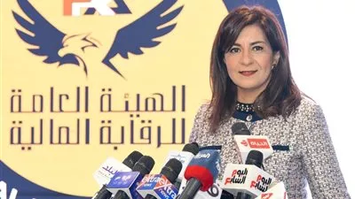 «الهجرة» تجيب على استفسارات المصريين في أوروبا حول «تأمين الخارج»