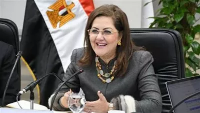 «التخطيط»: 2.4 مليار جنيه لتنفيذ 191 مشروعًا تنمويًا بالوادي الجديد