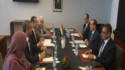 مباحثات مصرية جزائرية لتعزيز الشراكة في مجال الطاقة والمناجم