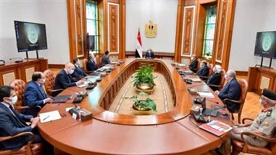 الرئيس السيسي يتابع مستجدات تطوير بحيرة المنزلة والمناطق المحيطة بها