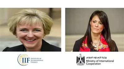 «المشاط» تبحث مقترحات التعاون مع معهد التمويل الدولي في قمة «COP27»