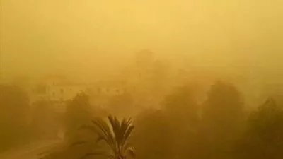 الأرصاد: رياح محملة بالأتربة تصل لحد العاصفة اليوم