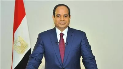 السيسي يبحث تعزيز العلاقات الثنائية مع رئيس وزراء لبنان