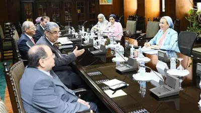 مجموعة عمل من وزارتي «الكهرباء» و«البيئة» لتصميم «يوم الطاقة» بـ COP 27