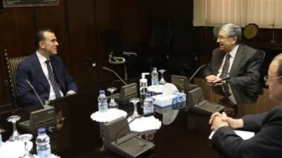 وزير الكهرباء يبحث التعاون مع «k&k» الإماراتية للاستثمار في مصر