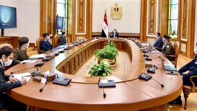 الرئيس يوجه بتوفير عوامل النجاح لمشروع «مستقبل مصر»