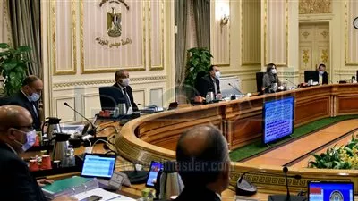 مجلس الوزراء يوافق على تأجير وتجديد التعاقد للمزارع السمكية