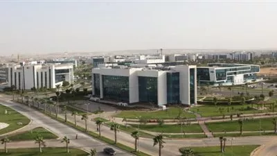 الثلاثاء.. مؤسسات الأعمال بمصر تبحث التعاون الاقتصادي مع دول النافتا