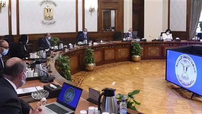 رئيس الوزراء يتابع إجراءات تخصيص الأراضى الصناعية